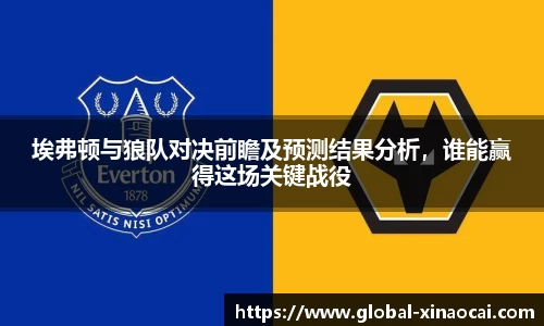 埃弗顿与狼队对决前瞻及预测结果分析，谁能赢得这场关键战役