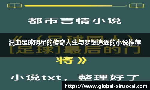 混血足球明星的传奇人生与梦想追逐的小说推荐