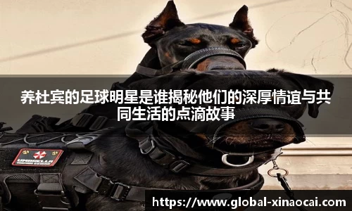 养杜宾的足球明星是谁揭秘他们的深厚情谊与共同生活的点滴故事